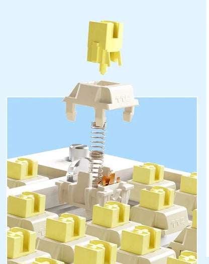 AULA F75 2.4G Wireless/Bluetooth/Wired Gaming Mechanical Keyboard RGB Customized 75% Layout OEM Profile Gasket Structure Red Magic